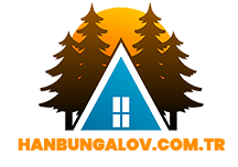 logo alani